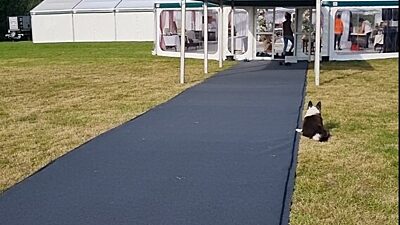 Marquee Construction Photo