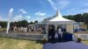 A photo of Corporate Marquees by Kingsmead Marquees