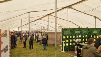 A photo of Showground & Festival Marquees by Kingsmead Marquees